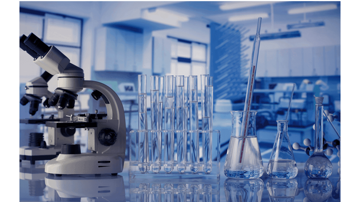 Santeway Arnite ürünü